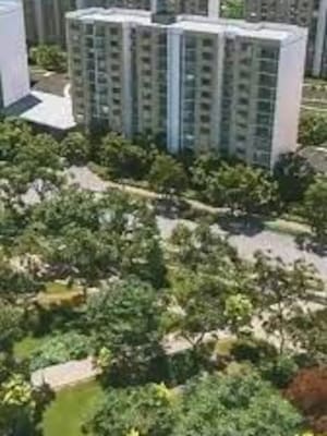 Desarrollo urbano que dignifica vidas | Columna de Héctor Carbonell