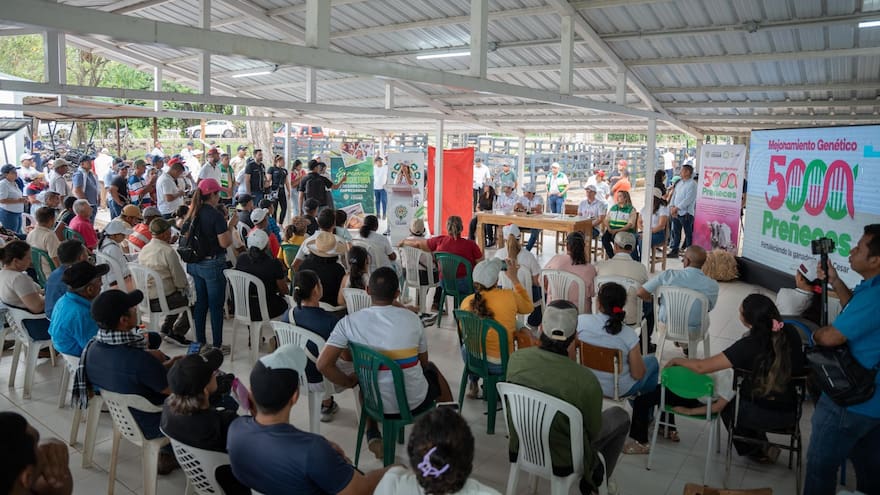 En el Cesar mejoran los hatos ganaderos con el uso de biotecnología