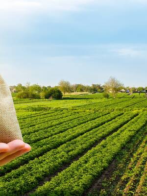 Un catastro… catastrófico | Columna de José Félix Lafaurie