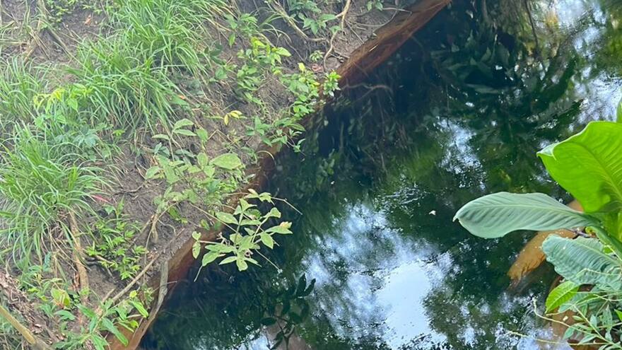 Derrame de petróleo en Betulia, Sucre, ocasiona daños y pérdidas cuantiosas