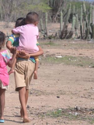 La desnutrición crónica infantil; un reto para la política pública | Columna de Katherine Diartt