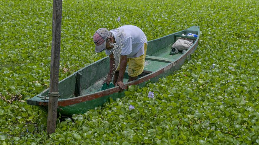 Ciénagas de Malambo 'mueren lentamente' por la contaminación
