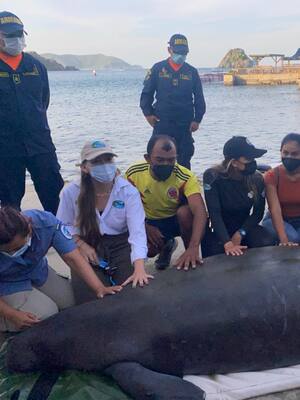 Justicia para Julieta