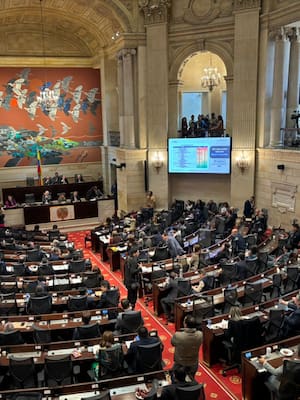 Gobierno y Senado irresponsables