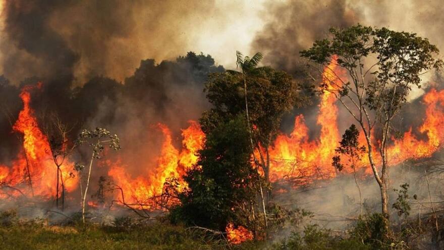 Constatan que el cambio climático hizo más extremos los megaincendios de 2023/24