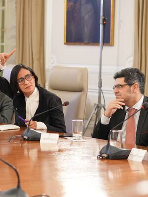 Protagonistas de novela