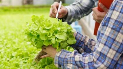 Más gestión y menos política