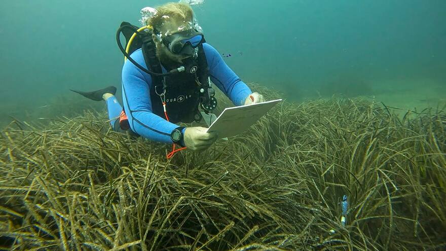 Agosto marca un récord en la temperatura de los océanos, algo que debería suceder en marzo