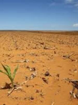 Cambio climático y desastres