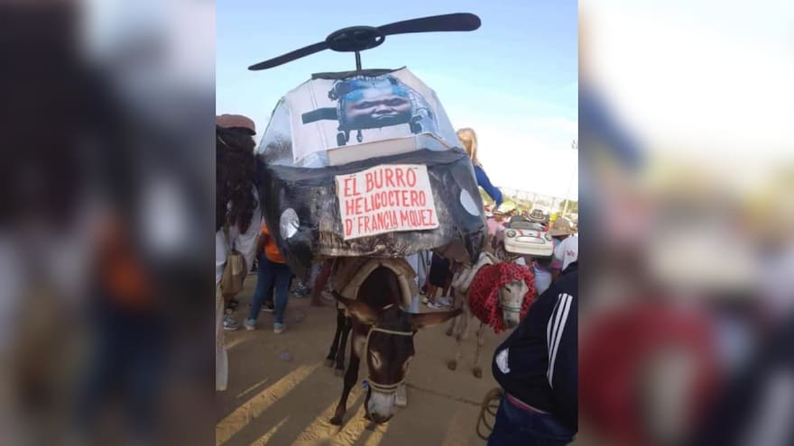 Tomasino triunfa con su ‘Burro helicóptero’ en San Antero