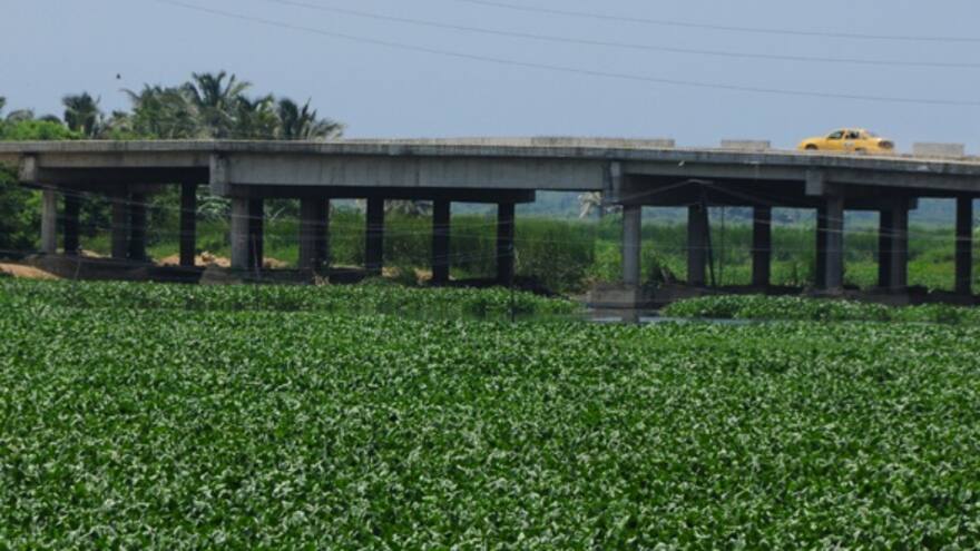 Menor de 10 años muere ahogada en sector del caño Los Tramposos
