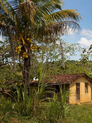La propiedad rural atropellada: Cero y van tres