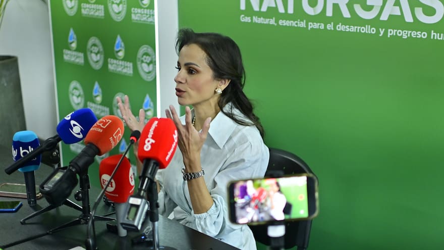 “Venezuela va en el camino correcto, pero no es la única fuente que debamos habilitar como país”: Naturgas