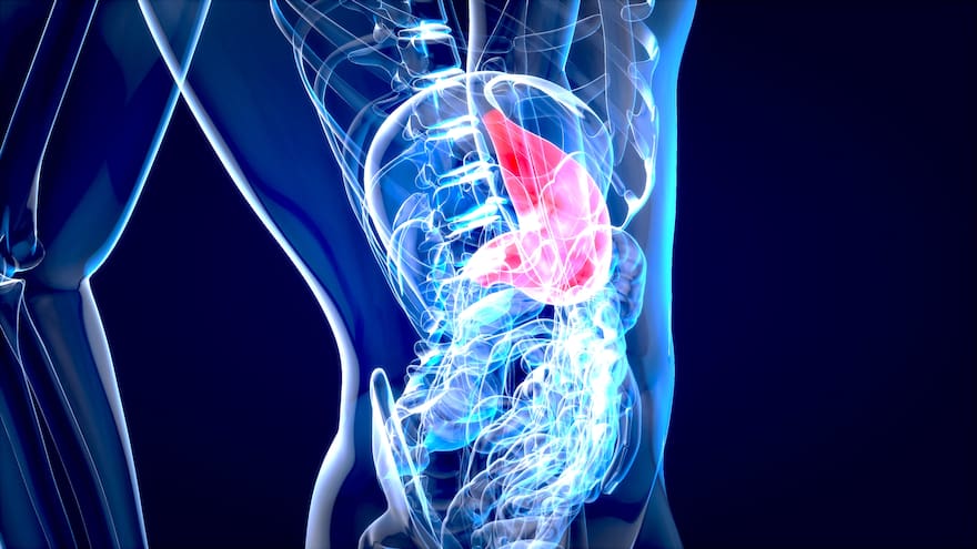 Una dieta rica en grasas aumenta la probabilidad de cáncer de hígado