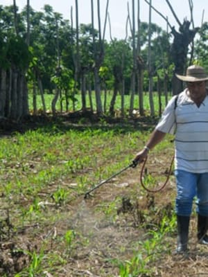 La SAC, la política y el abandono del agricultor
