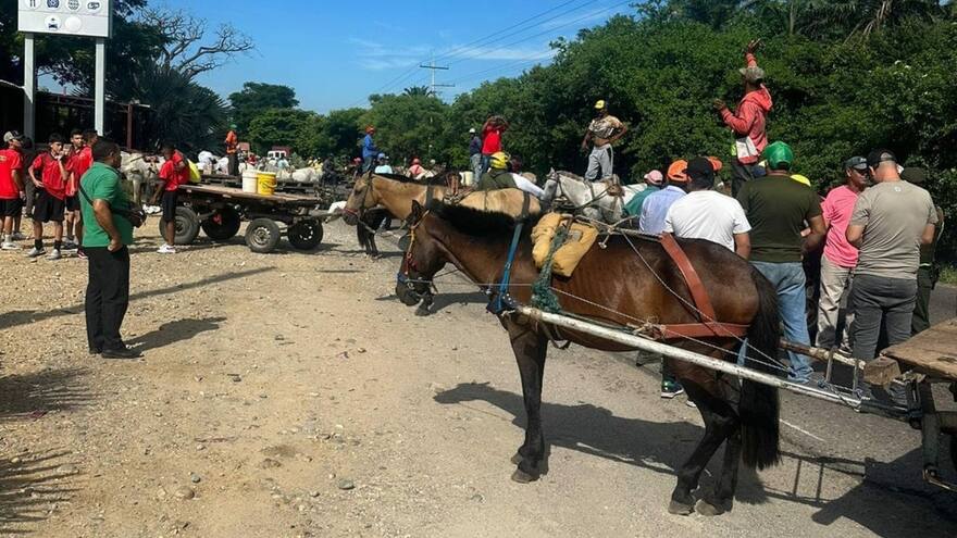 Carromuleros de Valledupar exigen reconversión laboral y 'no más engaños'