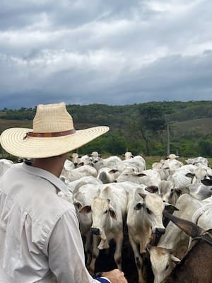 La difícil tarea de enmendar entuertos