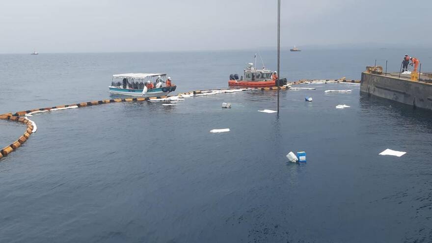 Descartan daño ecológico por vertimiento de sustancia química en el mar