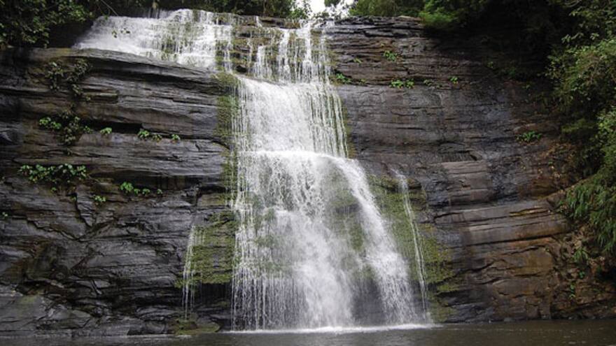 Colombia celebra retiro de lista de Patrimonio en Peligro al Parque Los Katíos