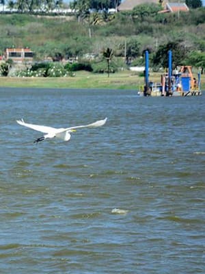 Política ambiental en peligro C.R.A. vs Área Metropolitana