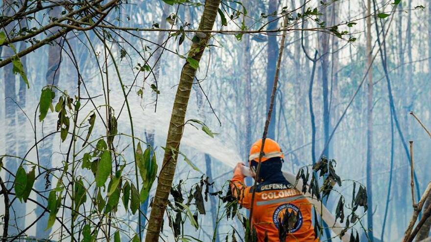 Logran controlar en un 80 % el incendio forestal en San Onofre, Sucre