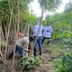 Córdoba aporta más del 50 % de la producción de yuca para el consumo del país