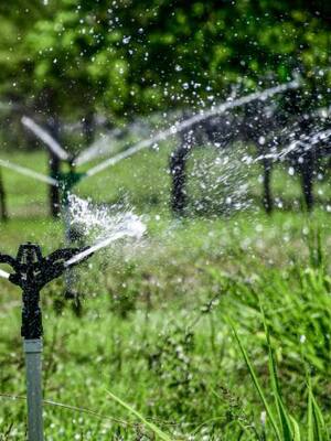 Revolcón gremial (II)