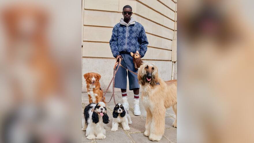 ‘Dog Lvers’, una colección de moda pensada en los perros