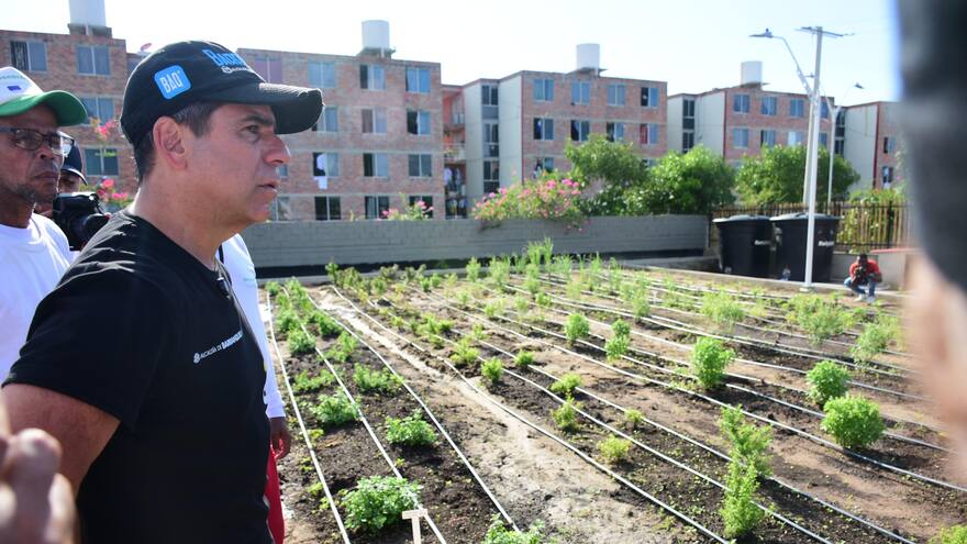 En Barranquilla| Parques productivos y huertas comunitarias fortalecerán seguridad alimentaria
