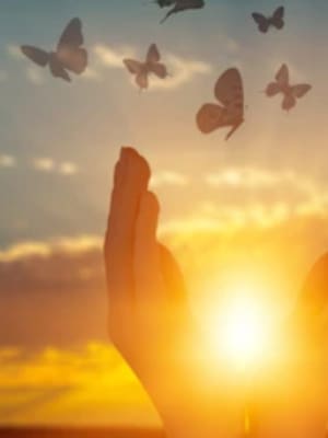 El post-amor y la postverdad| columna de Fabrina Acosta