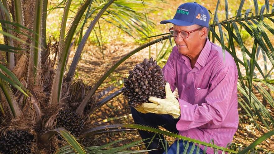 Los agronegocios que ‘cultivan’ el crecimiento del PIB del Atlántico