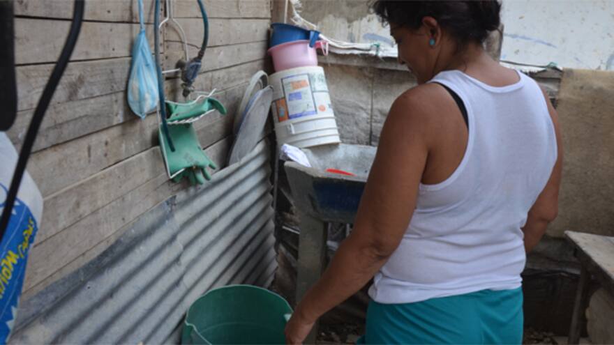 ‘Oxitec’, el mosquito que combate al dengue, zika y chikunguña