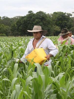 La plata del campo para el campo