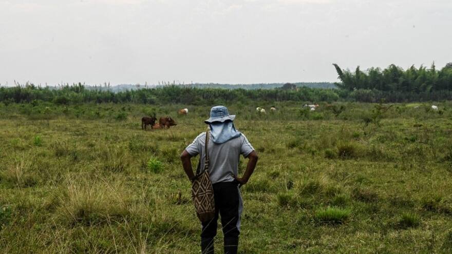 En el Cesar buscan a más de 3.000 reclamantes de tierras