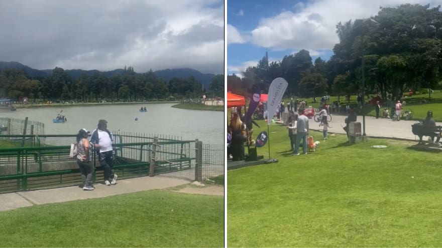 Cartel Estéreo Picnic 2025: Justin Timberlake, Olivia Rodrigo y Shawn Mendes