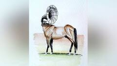 Sobre 'Nabo, el negro...'