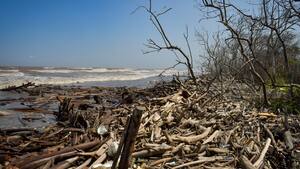 Alerta en ciénaga Los Manatíes: el fuerte oleaje está “llevándose” el ecosistema