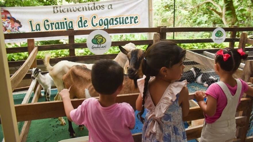 Sincelejo se alista para la Feria Exposición Agropecuaria de Cogasucre