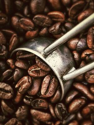 Una nueva Federación | Columna de Mauricio Cárdenas