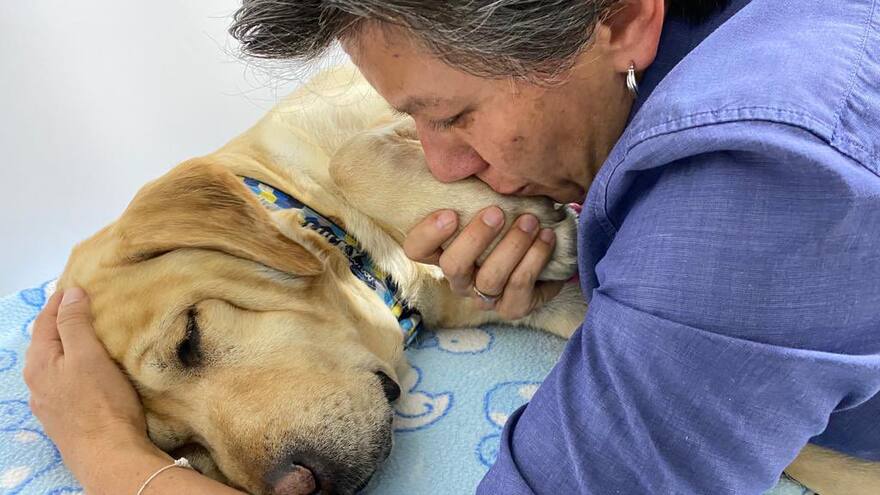 Alcaldesa Claudia López anuncia el fallecimiento de su mascota