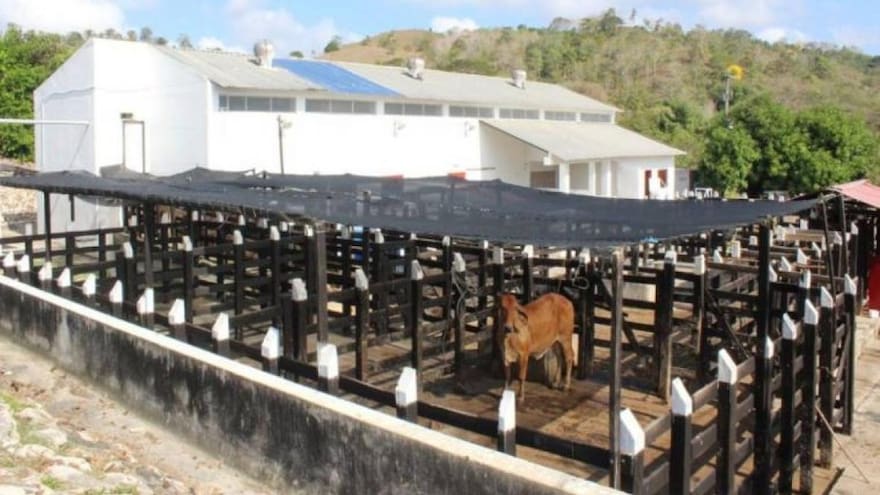 En el Atlántico, 14 mataderos municipales podrían reabrir