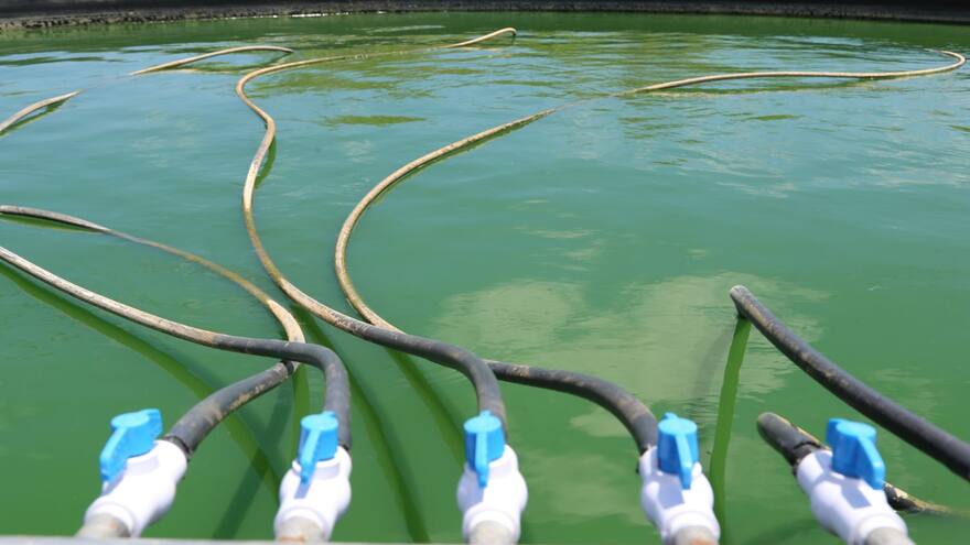 Con proyectos de Ciencia fortalecen soberanía alimentaria en La Guajira