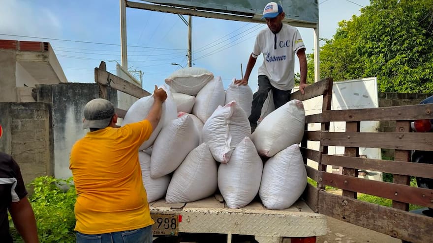 Entregan chips de yuca, como suplemento alimenticio, a pequeños ganaderos de Sucre