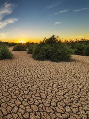 El tesoro debajo de nuestros pies | Columna de Isidoro Hazbun