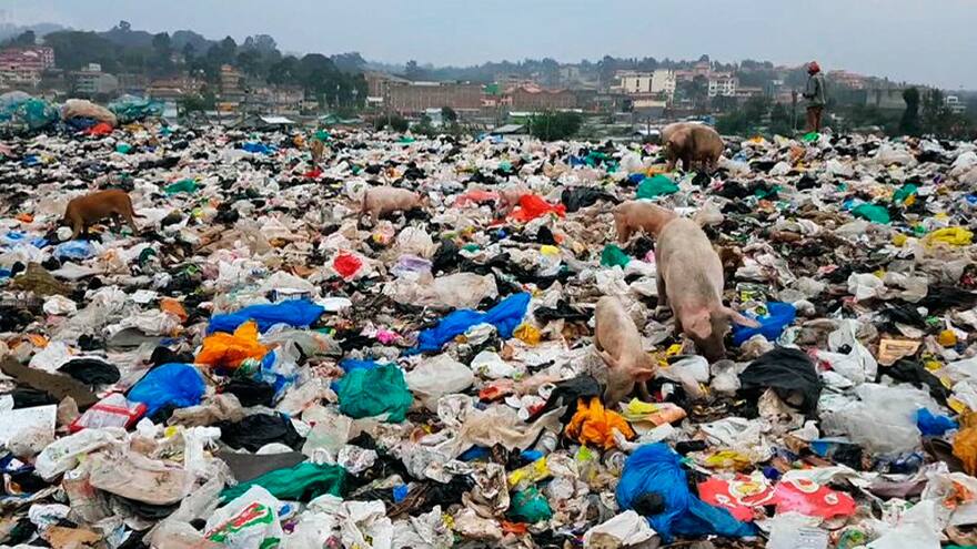 Científicos aseguran haber descubierto enzima que destruye el plástico