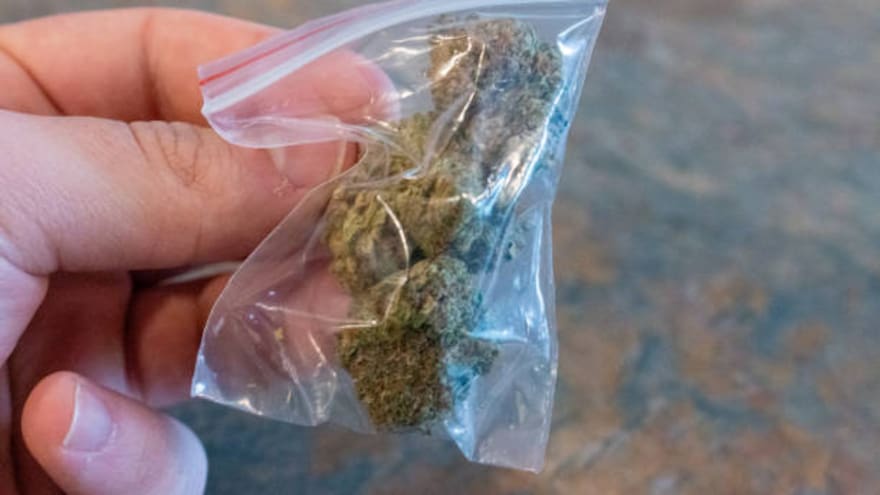 Mandatarios regionales entrantes rechazan que Petro derogue decreto de drogas