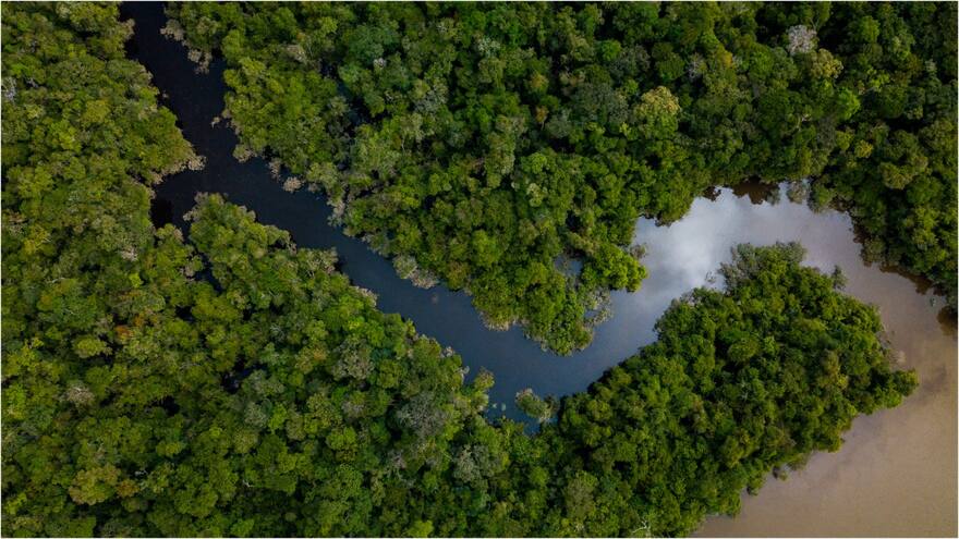 WWF alerta por aumento de incendios en el Pantanal