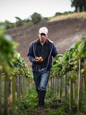 ¿Llega el Covid al campo?