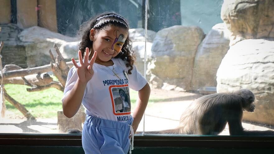 Safari Nocturno llega al Zoológico de Barranquilla