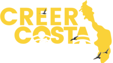 Logo seccion